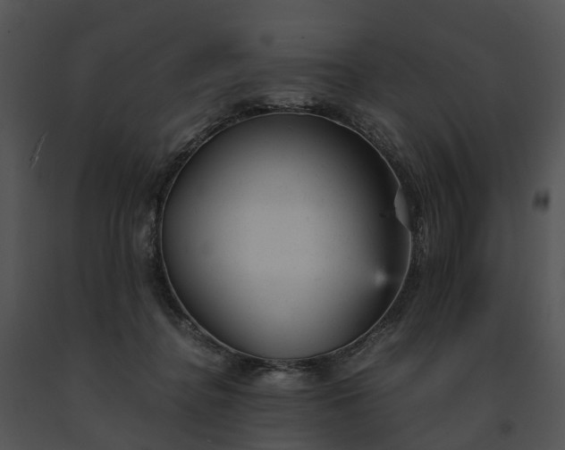 X0000091660364200708301443