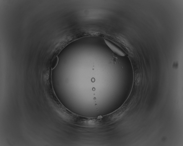 X0000091660365200708301443