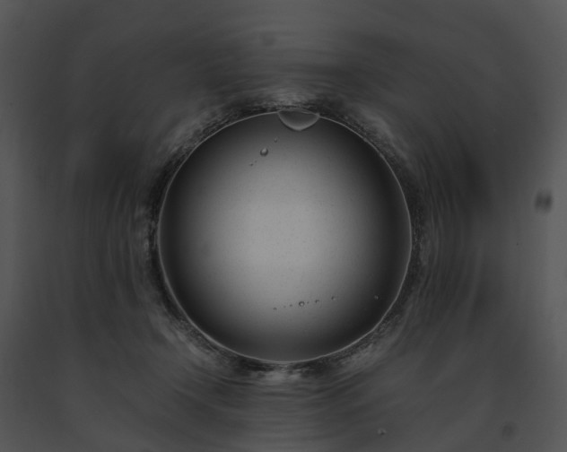 X0000091660366200708301443