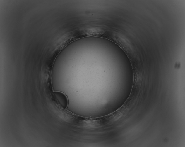 X0000091660367200708301443