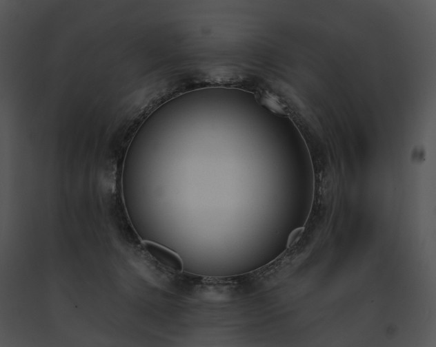 X0000091660368200708301443