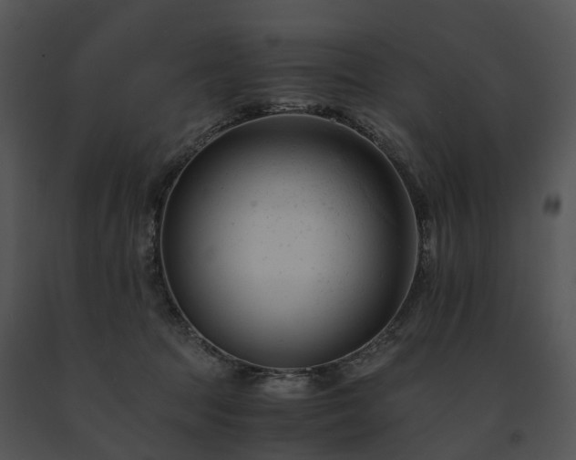 X0000091660369200708301443