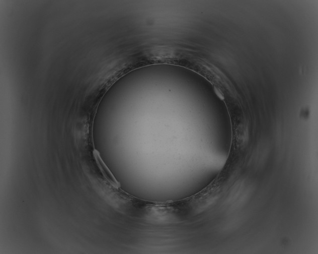 X0000091660372200708301443