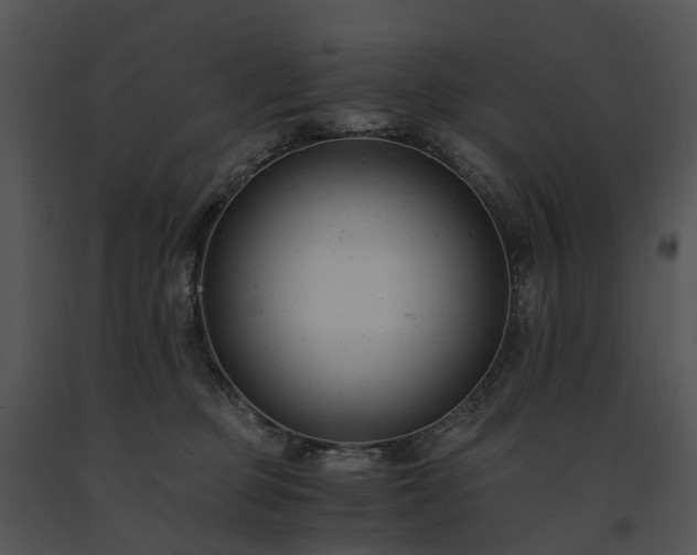 X0000091660373200708301443