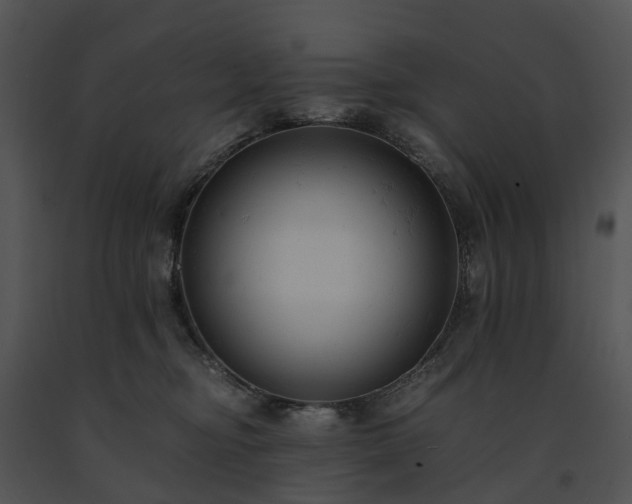 X0000091660374200708301443