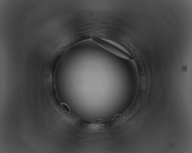 X0000091660375200708301443