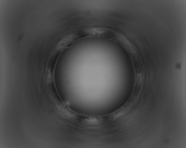 X0000091660381200708301444