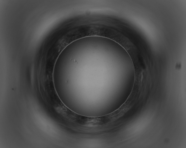 X0000091660382200708301444