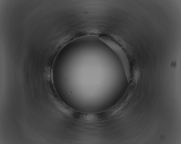 X0000091660383200708301444