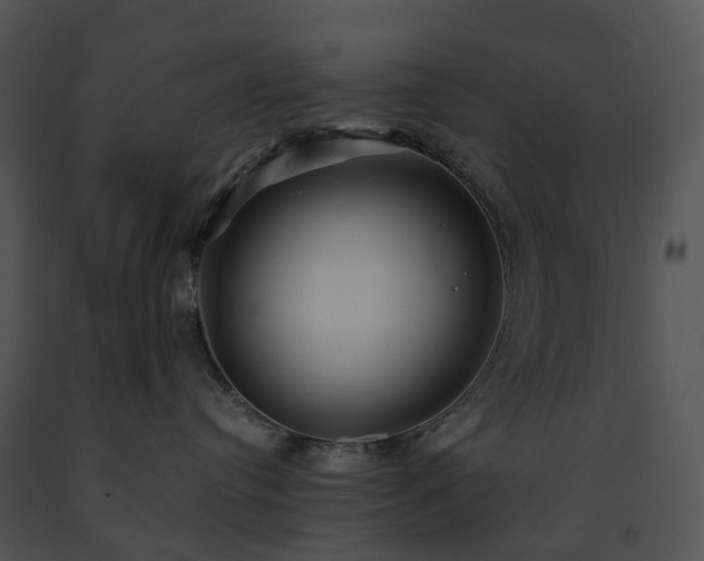 X0000091660384200708301444