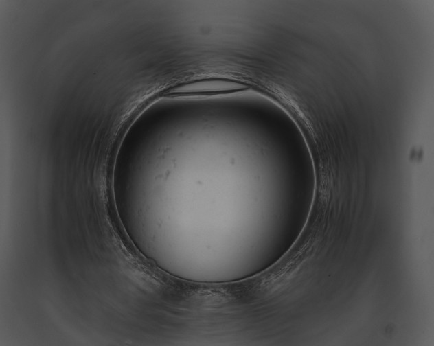 X0000091660386200708301443