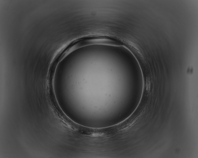X0000091660388200708301443