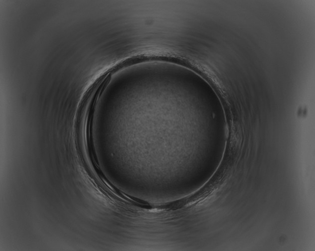 X0000091660391200708301443
