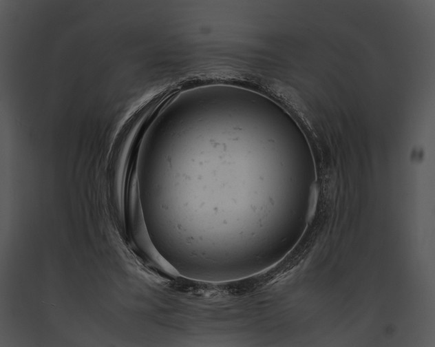 X0000091660395200708301443