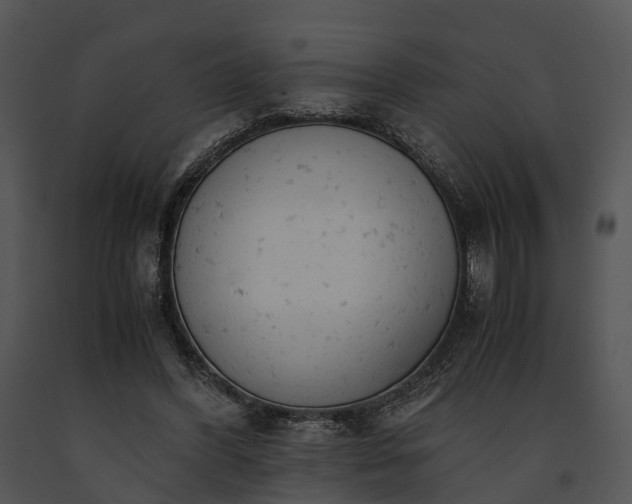 X0000091660396200708301443
