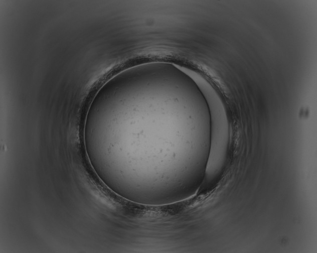 X0000091660399200708301443
