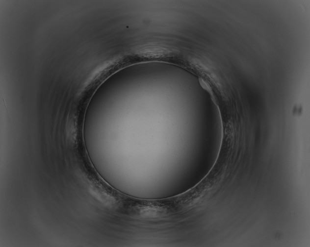 X0000091660400200708301443
