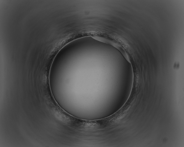 X0000091660401200708301443