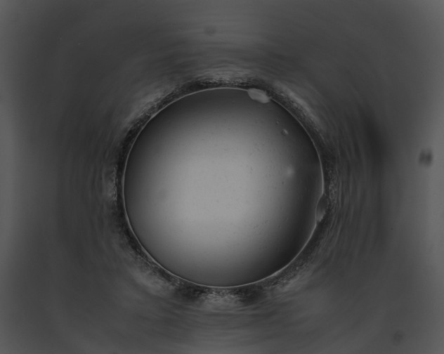 X0000091660403200708301443
