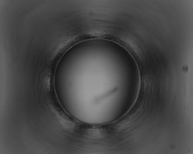 X0000091660404200708301443