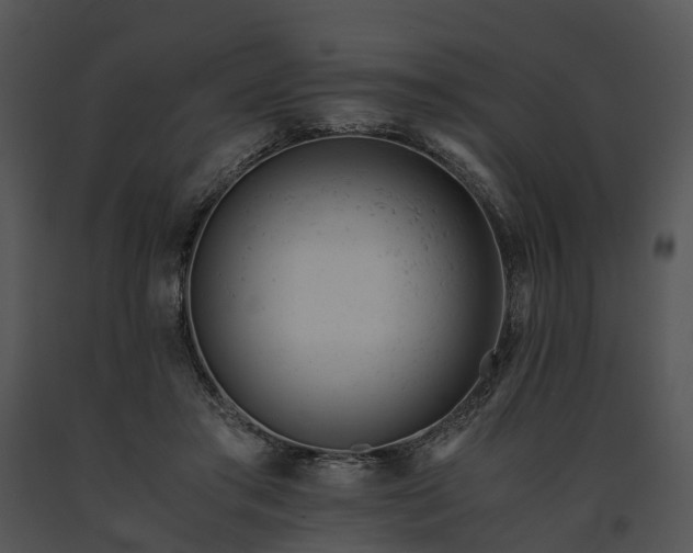 X0000091660405200708301443