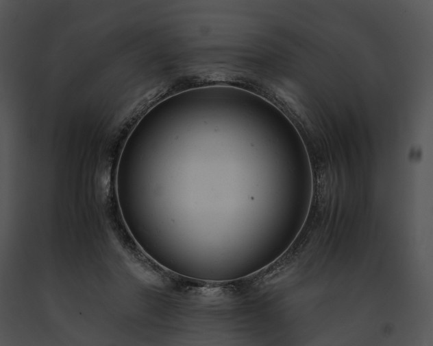 X0000091660406200708301443