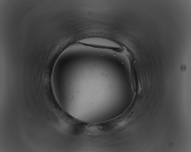 X0000091660407200708301443