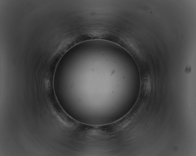 X0000091660408200708301442