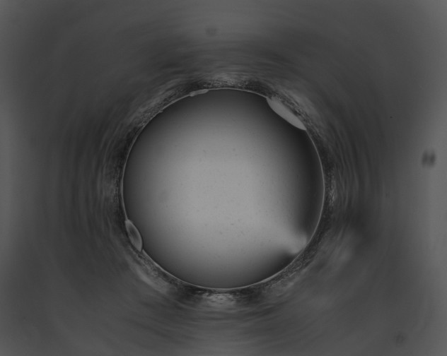 X0000091660409200708301442