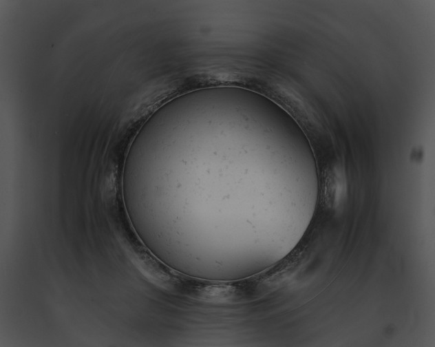 X0000091660410200708301442