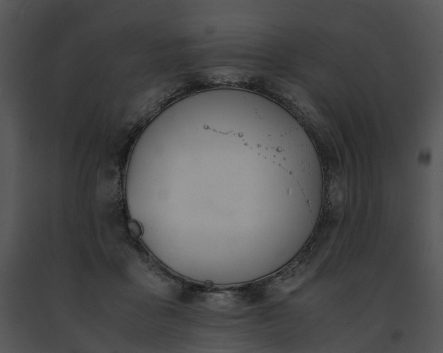X0000091660411200708301442