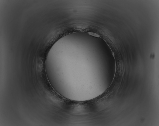 X0000091660412200708301442