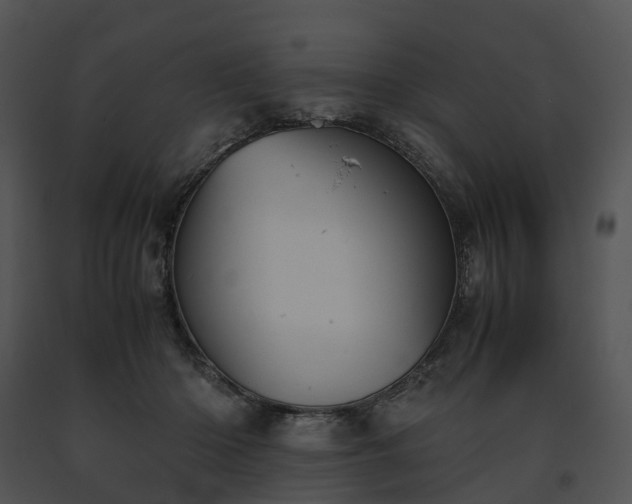 X0000091660414200708301442