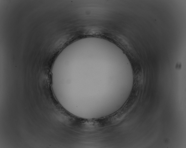 X0000091660415200708301442