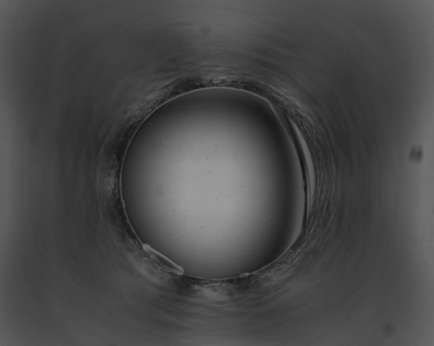 X0000091660417200708301442