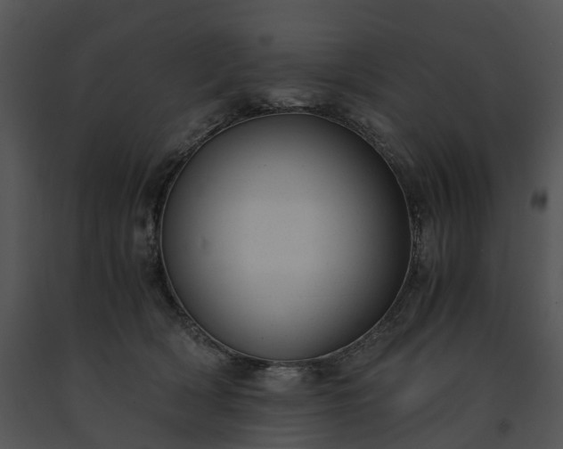 X0000091660418200708301442