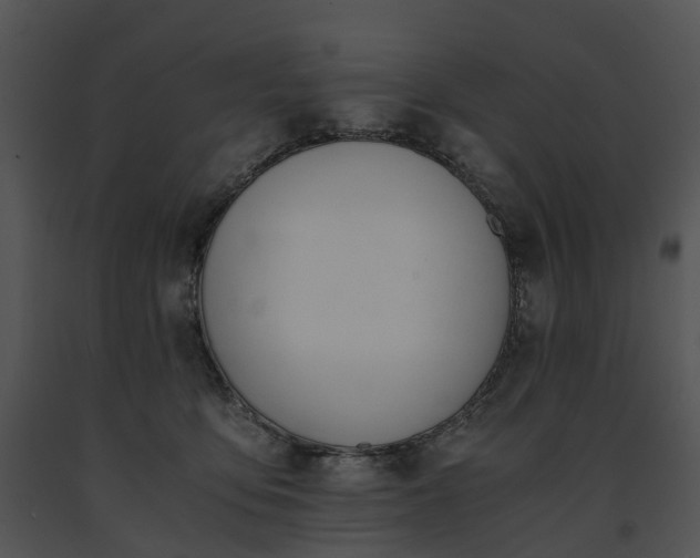 X0000091660419200708301442