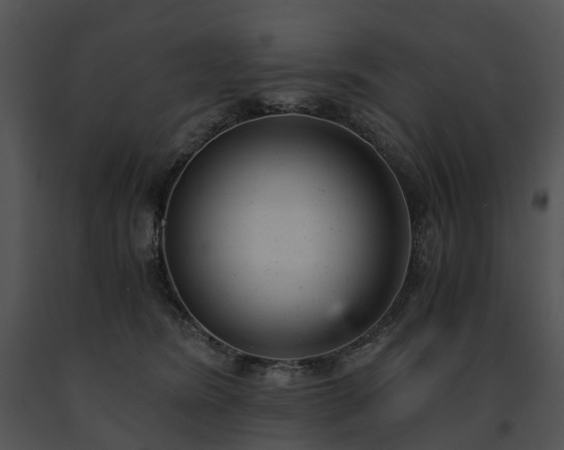 X0000091660420200708301442