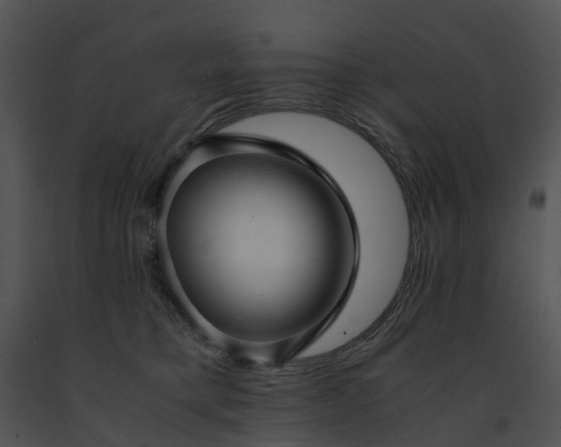 X0000091660421200708301442