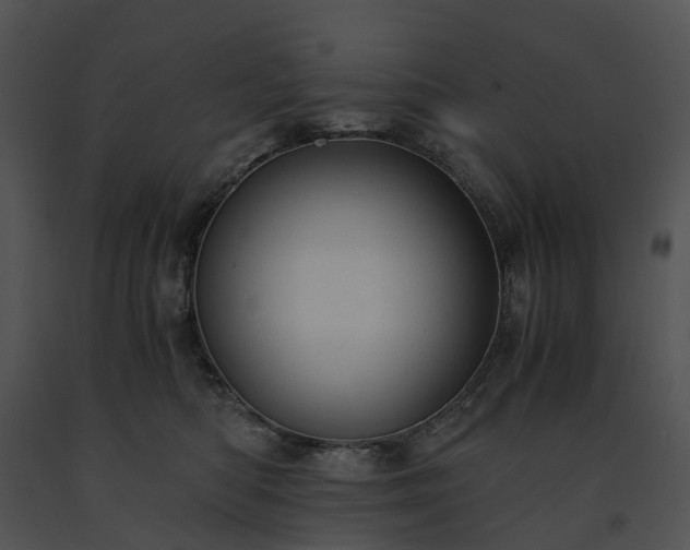 X0000091660422200708301442