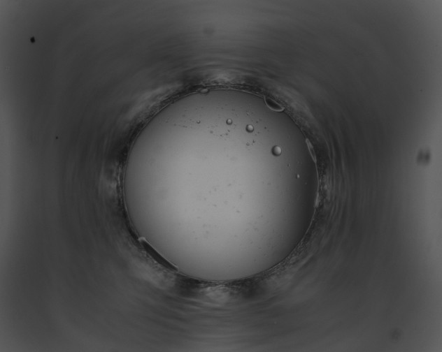X0000091660423200708301442