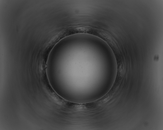 X0000091660424200708301442