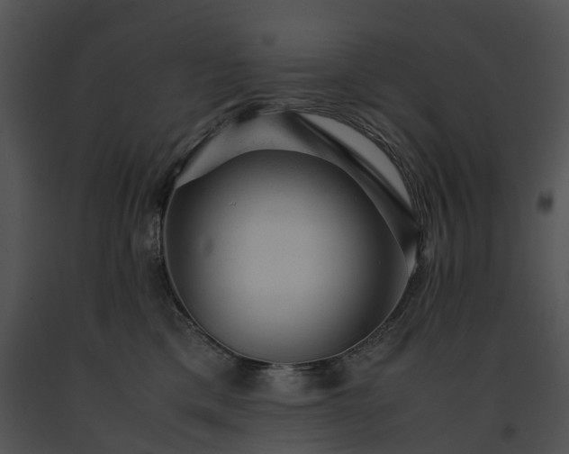 X0000091660425200708301442