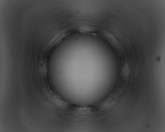 X0000091660426200708301442