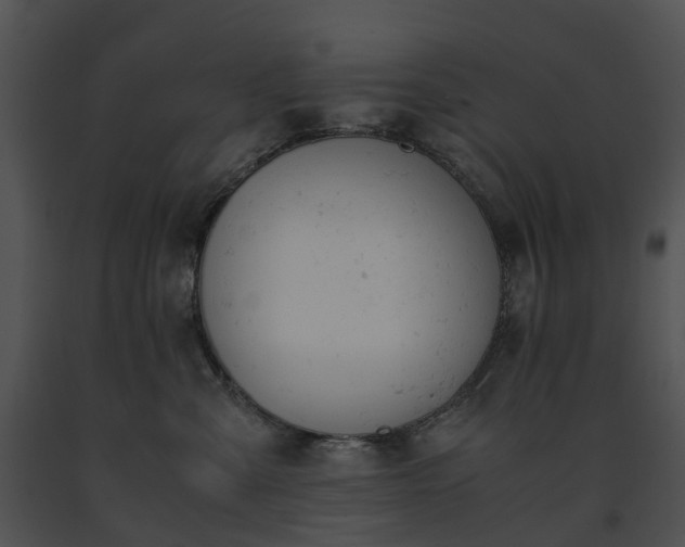 X0000091660427200708301442