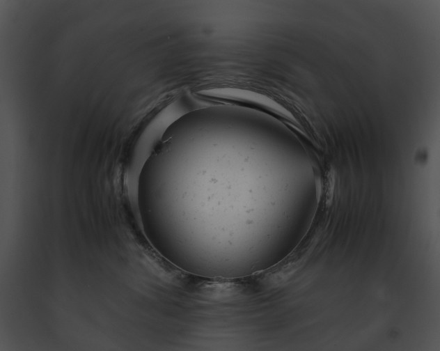 X0000091660428200708301442