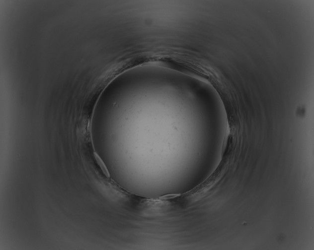 X0000091660429200708301442