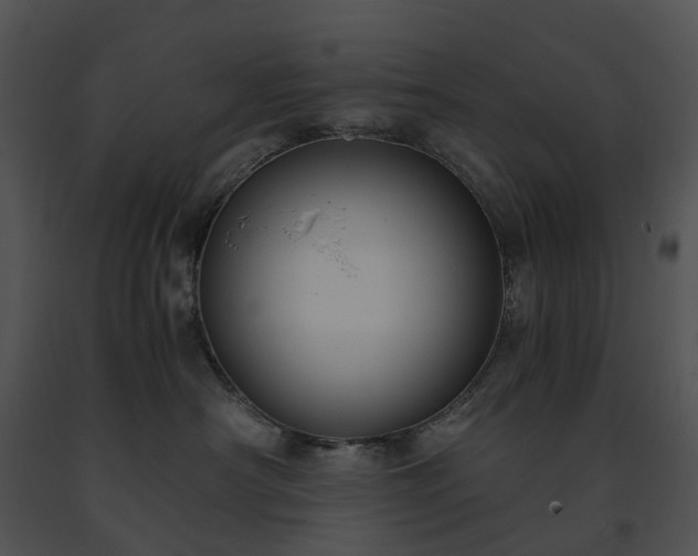 X0000091660430200708301442