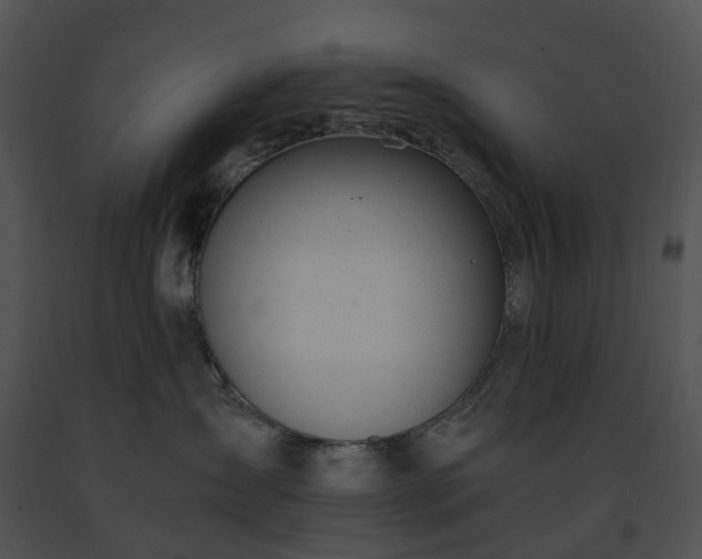 X0000091660431200708301442