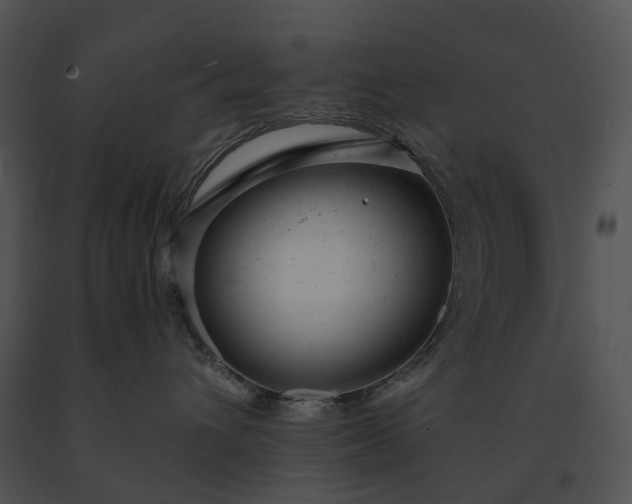 X0000091660432200708301442